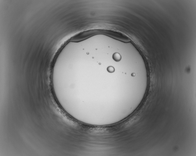 X0000116270846200912211756