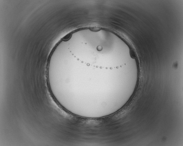 X0000116270847200912211756