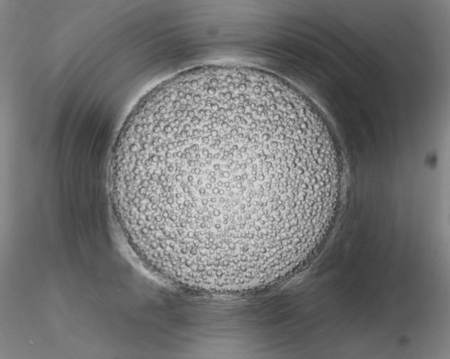 X0000116270848200912211756
