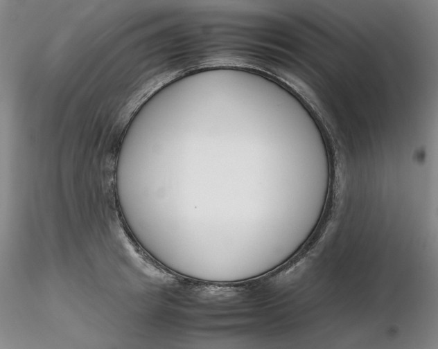X0000116270849200912211756