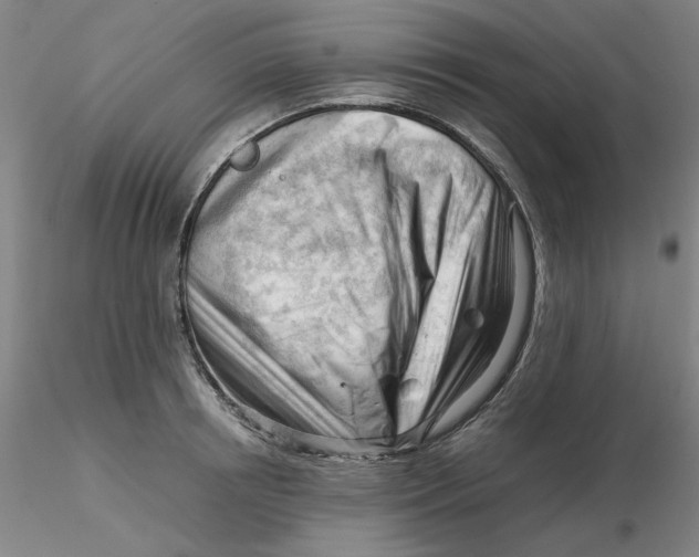 X0000116270850200912211756