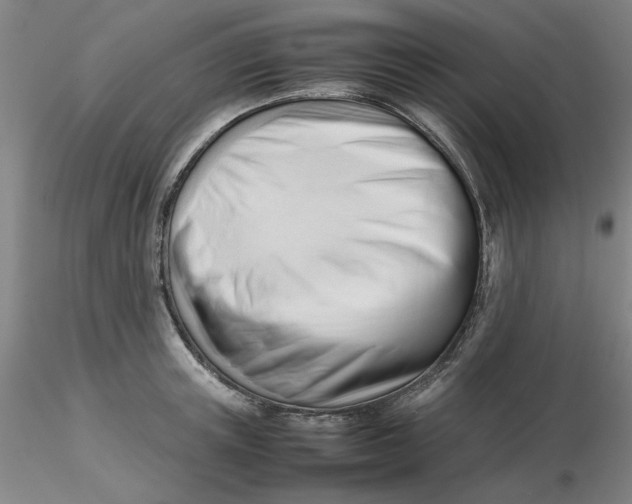 X0000116270851200912211756