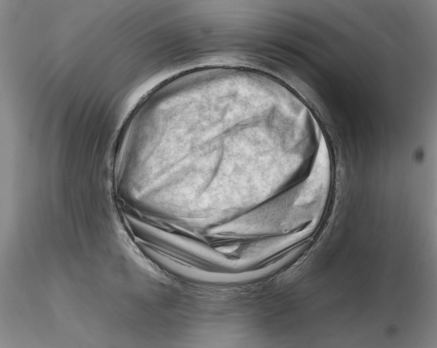 X0000116270854200912211756