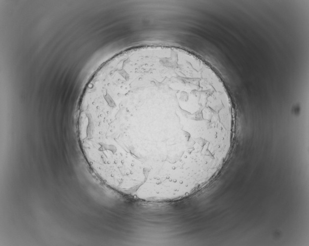 X0000116270856200912211757