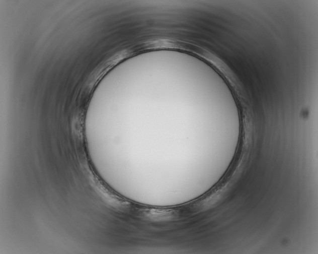X0000116270857200912211757