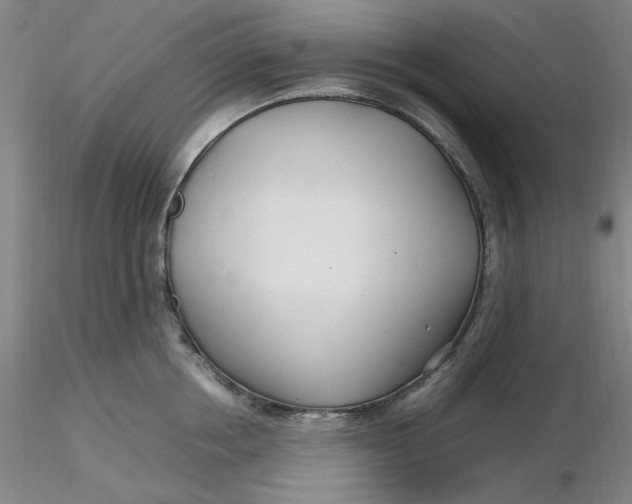 X0000116270858200912211757