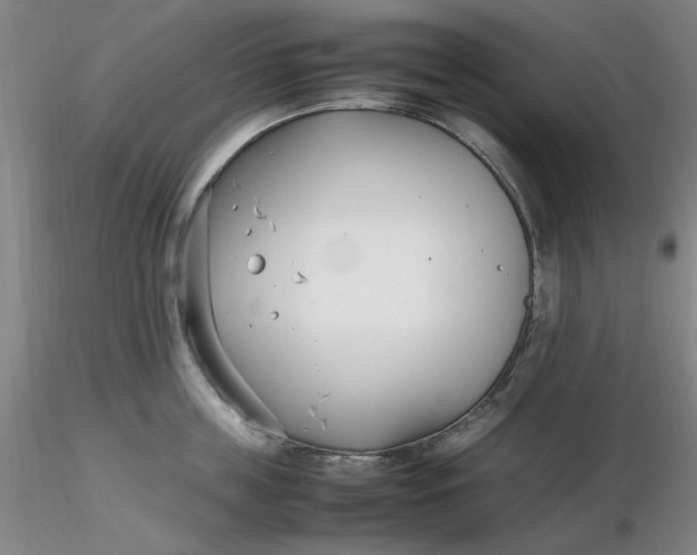 X0000116270859200912211757
