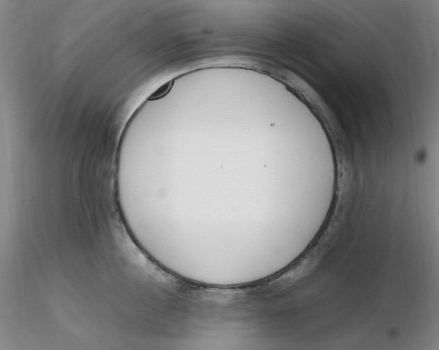 X0000116270860200912211757