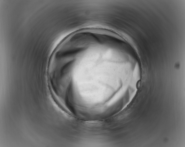 X0000116270863200912211757