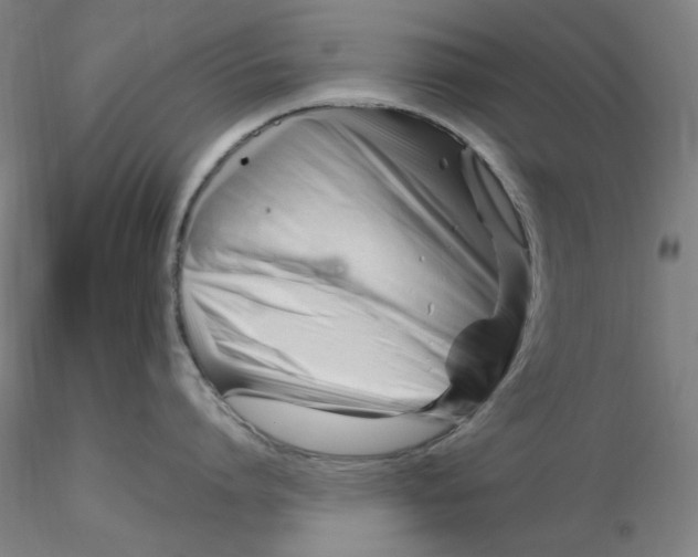 X0000116270864200912211757