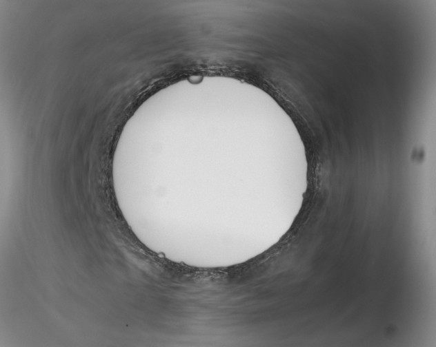 X0000116270865200912211756
