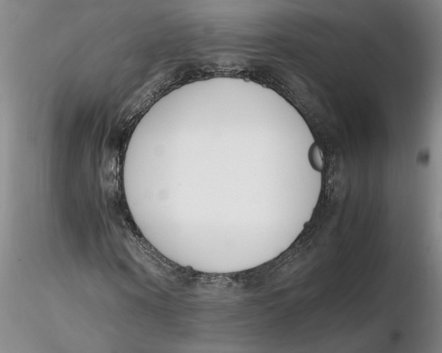 X0000116270866200912211756