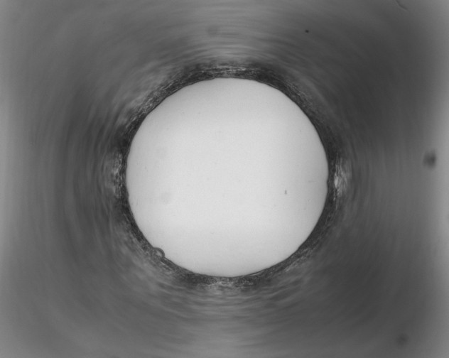 X0000116270867200912211756