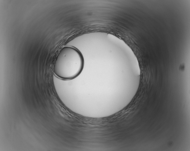 X0000116270868200912211756