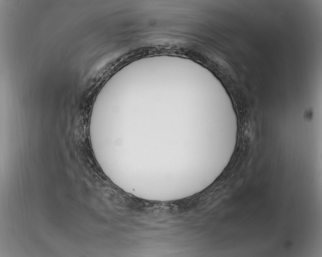 X0000116270869200912211756