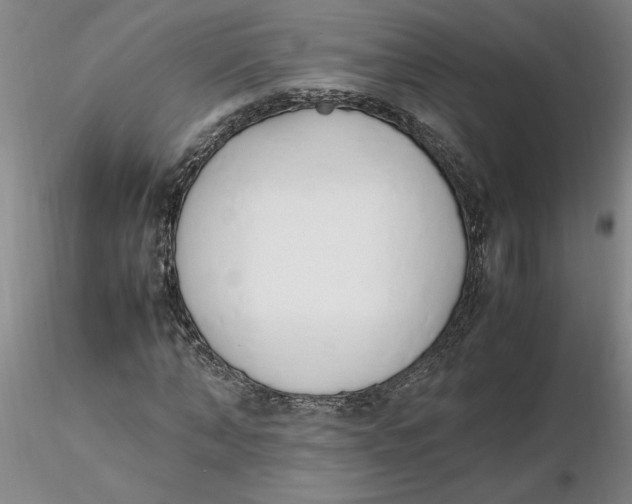 X0000116270870200912211756
