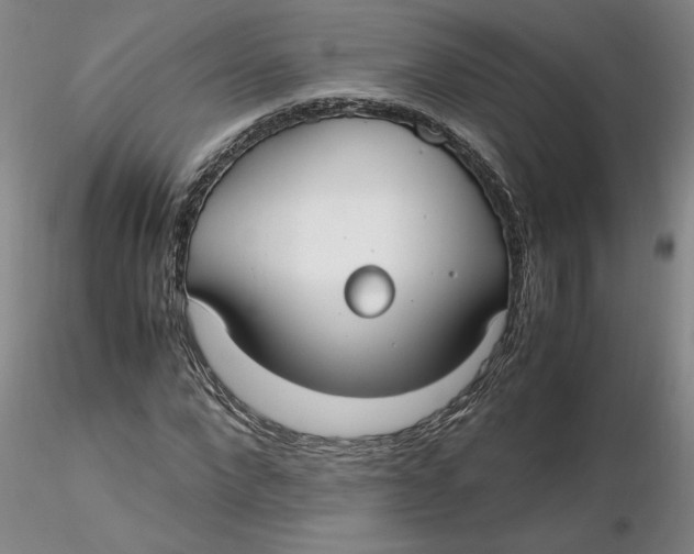 X0000116270872200912211756