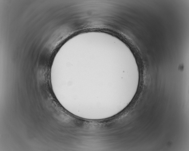 X0000116270873200912211756