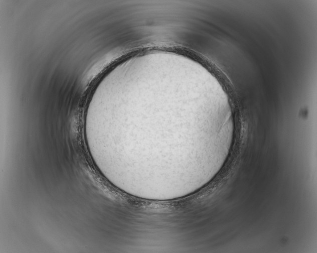 X0000116270874200912211756