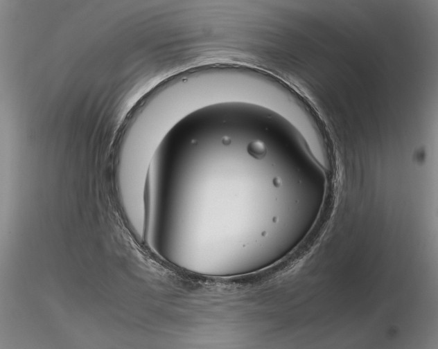 X0000116270877200912211756