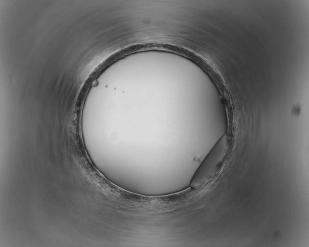 X0000116270879200912211756