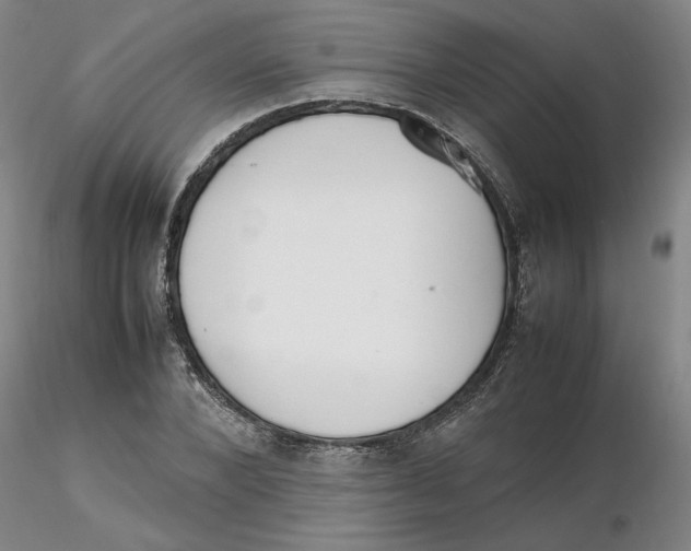 X0000116270880200912211756