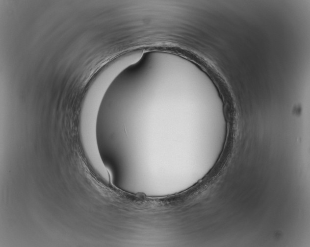 X0000116270881200912211756
