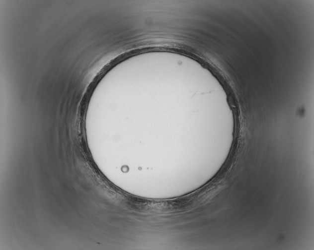 X0000116270883200912211756