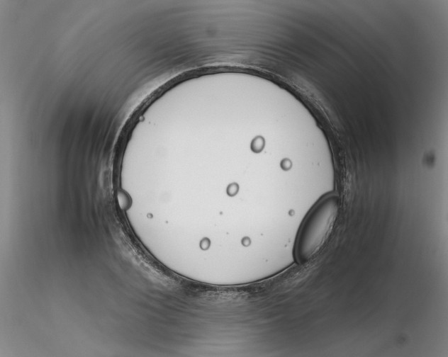 X0000116270884200912211756