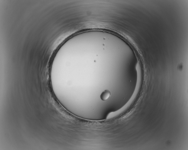 X0000116270885200912211756