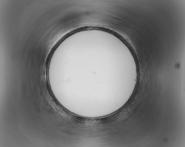 X0000116270887200912211756