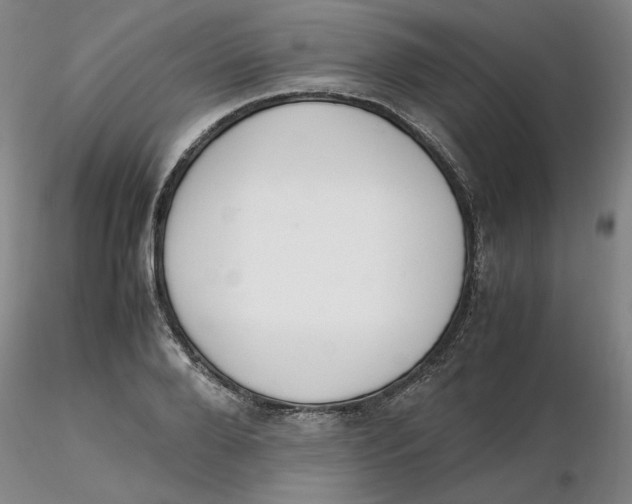 X0000116270888200912211756
