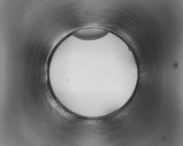 X0000116270892200912211756