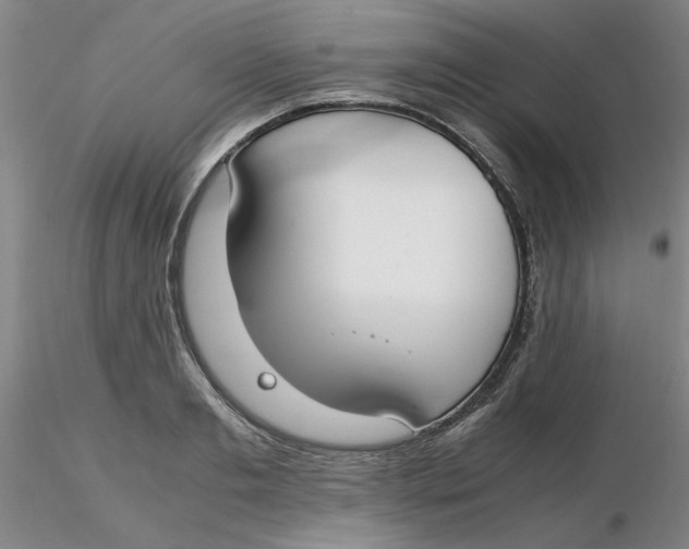 X0000116270893200912211756