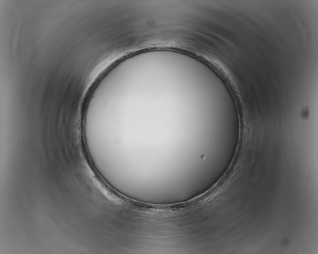 X0000116270894200912211756
