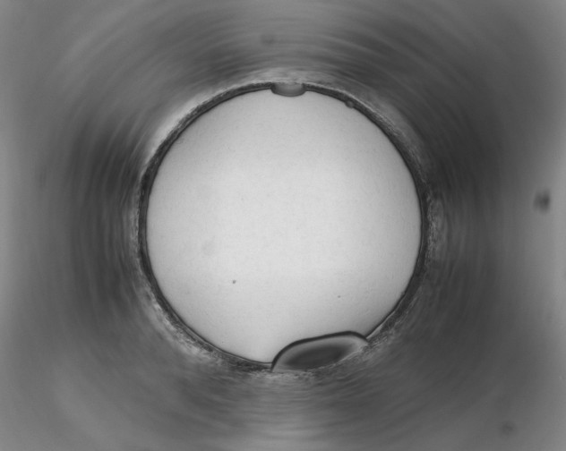 X0000116270896200912211756