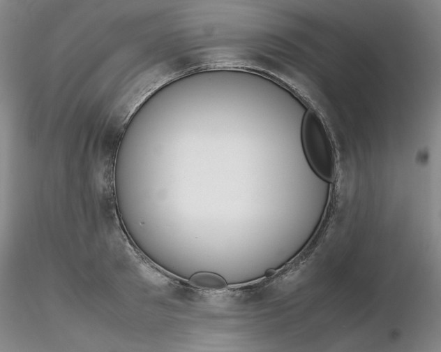X0000116270897200912211756