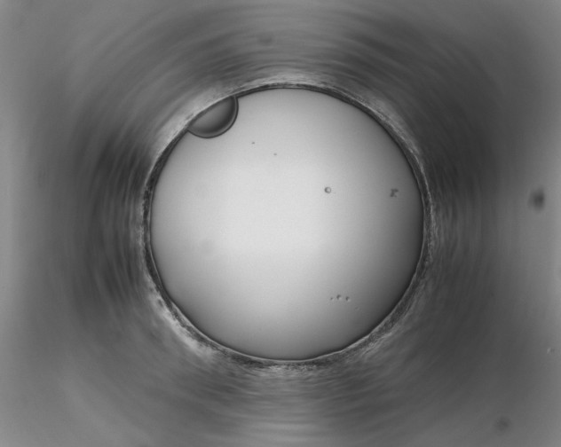 X0000116270898200912211756