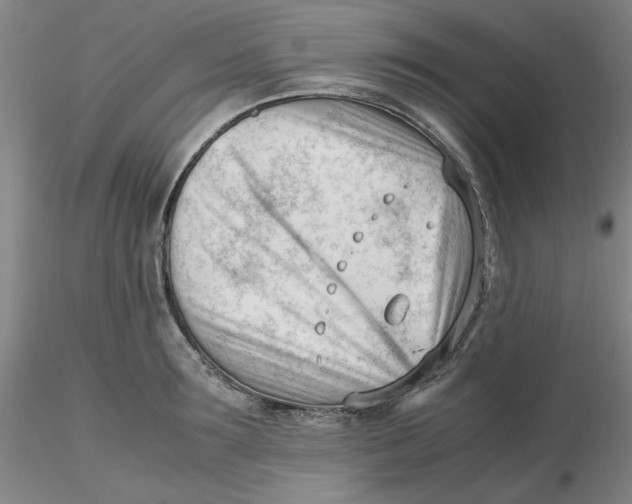 X0000116270899200912211755