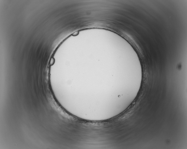 X0000116270900200912211755