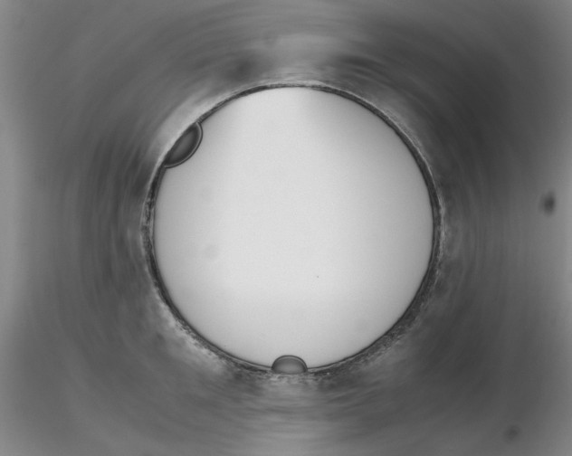 X0000116270901200912211755