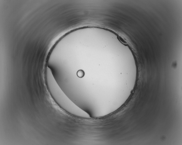 X0000116270904200912211755