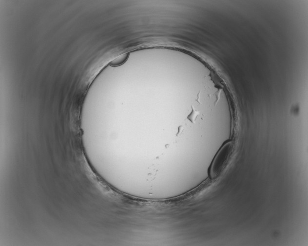 X0000116270905200912211755