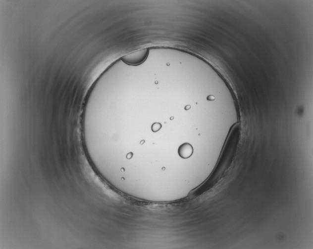 X0000116270906200912211755