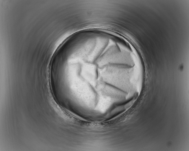 X0000116270907200912211755