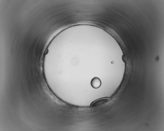 X0000116270908200912211755
