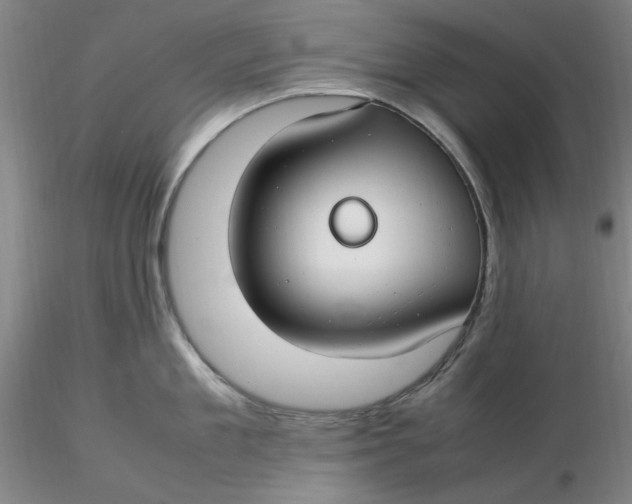 X0000116270909200912211755
