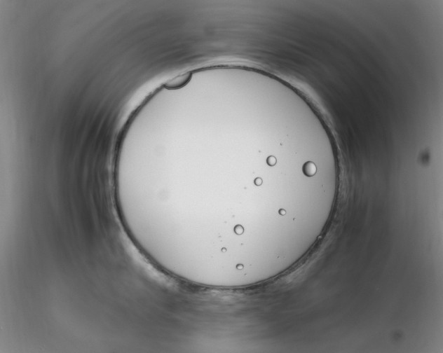 X0000116270910200912211755