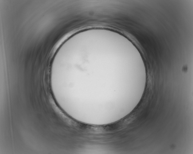X0000116270911200912211755