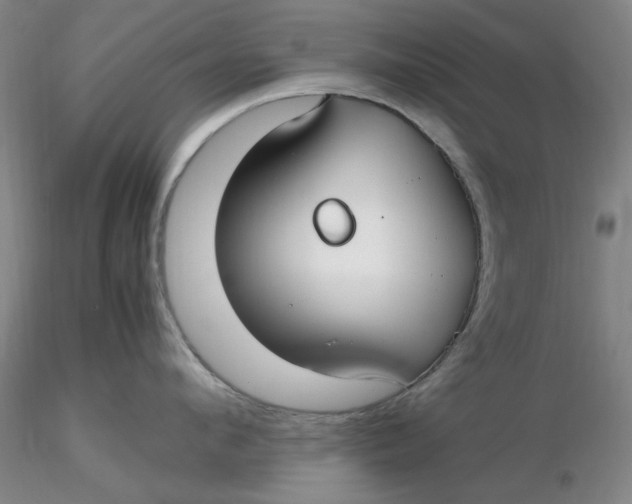 X0000116270912200912211755